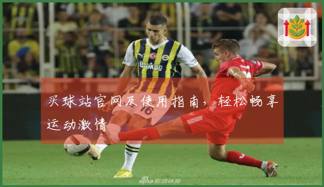 买球站官网及使用指南，轻松畅享运动激情