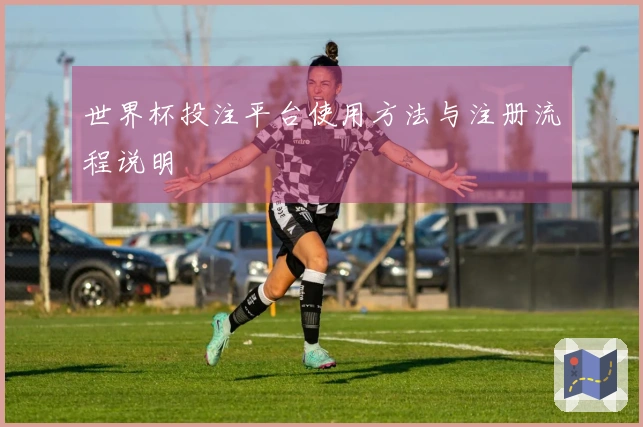 世界杯投注平台使用方法与注册流程说明