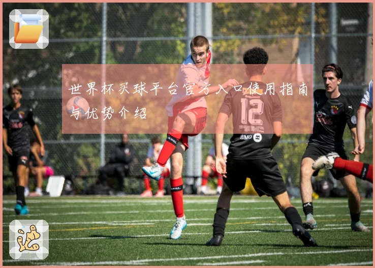 世界杯买球平台官方入口使用指南与优势介绍