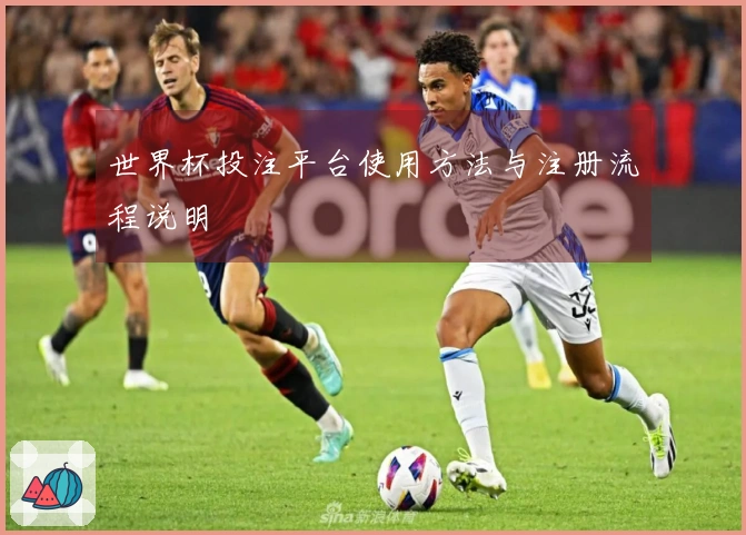 世界杯投注平台使用方法与注册流程说明