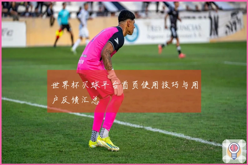 世界杯买球平台首页使用技巧与用户反馈汇总