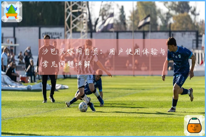 沙巴买球网首页：用户使用体验与常见问题详解