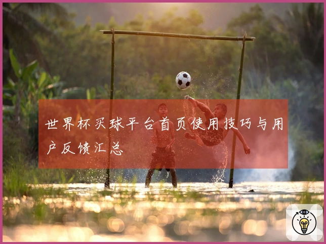 世界杯买球平台首页使用技巧与用户反馈汇总